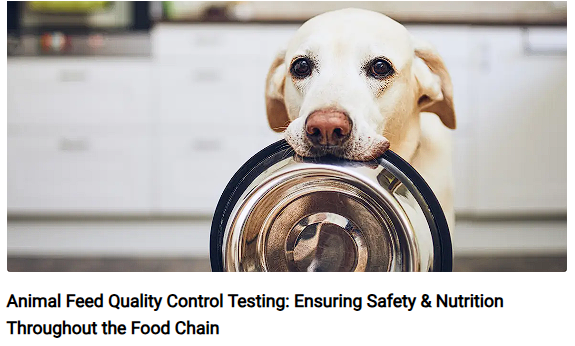 1.Animal Feed.png