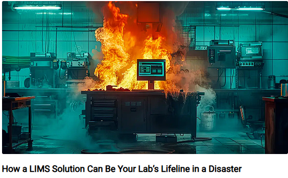 1.Disaster Mgt.png