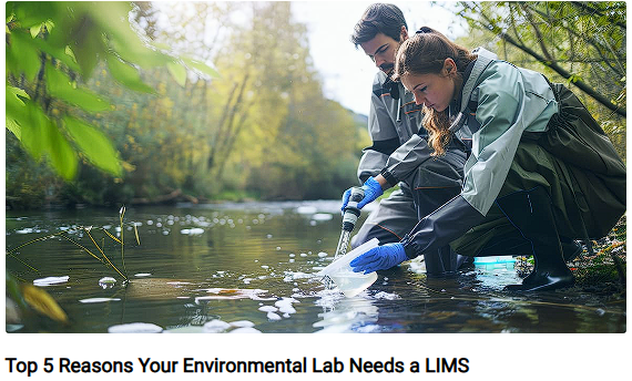 1.Environmental Top 5.png