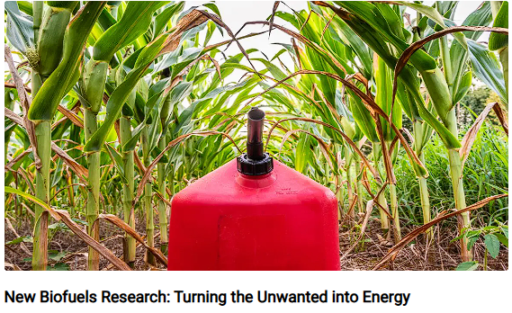 1.Biofuels Research.png