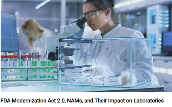 1.FDA Modernization.png