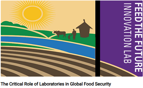 1.Food Security.png