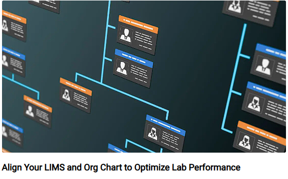 1.Org Chart.png