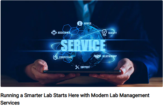 1.Smarter Services.png